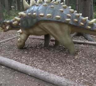 Dinosaurier Museum Altmühltal