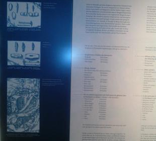  Burgruine Lichtenberg Thallichtenberg Geoskop