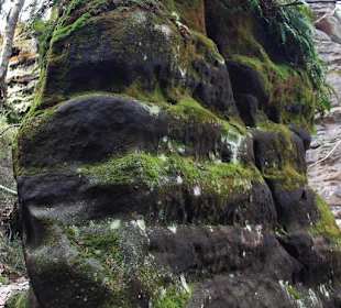 Wanderung im Böhmischen Paradies