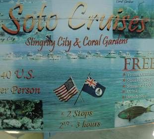 Jede Menge Firmen stehen am Hafen