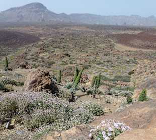 Nationalpark --> Teide