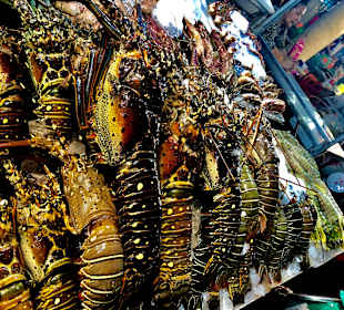 Fisch Markt