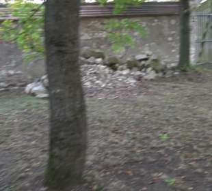 Geistliches Zentrum Kloster Heiligkreuztal Altheim