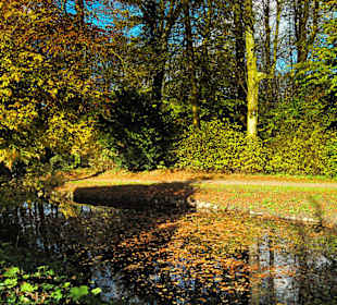 Парк Замка Ойтин.Золотая осень.