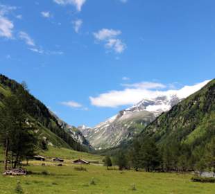 Wanderungen in der Nähe