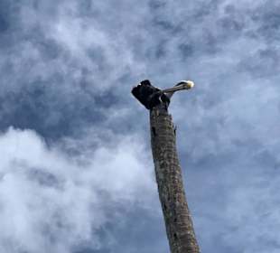 National Park of the East