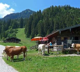 Valepper-Almen-Rundwanderung
