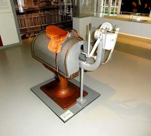 Das elektrische "Nierenpferd"