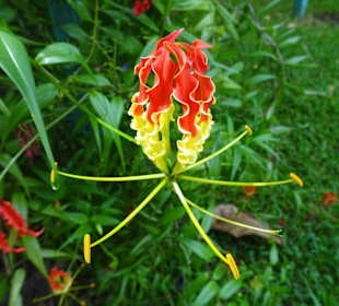 Rundgang durch den Jardin d´Eden