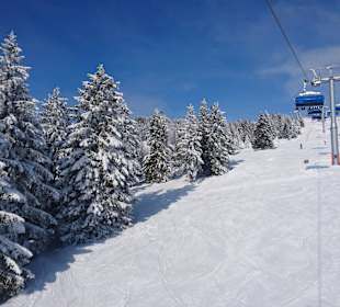 Feldberg