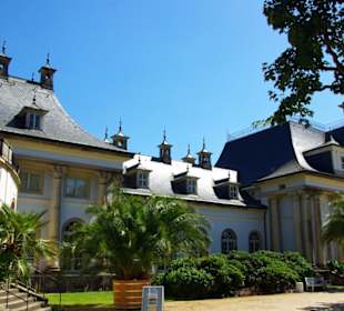 Sag mal der Palmenbereich