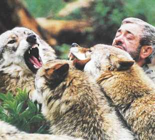 Wolfspark Merzig