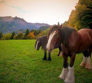 Wandern Nesselwang