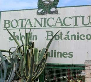 Nicht weit weg muss mann gesehen haben