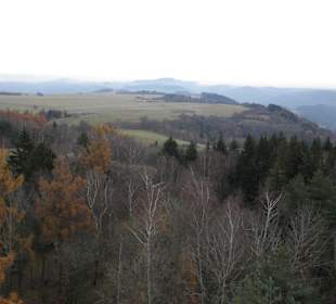 Krásenský vrch - rozhledna