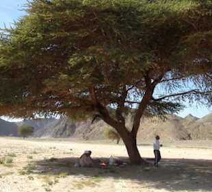 Nationalpark Wadi el Gemal in Ägypten Morgenland 
