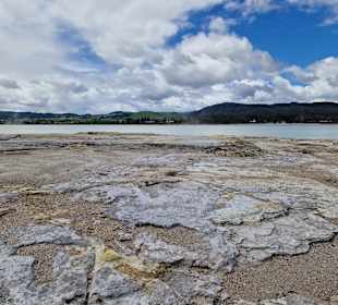 Geothermal Walking Track
