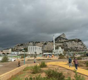 Affenfelsen mit Mosche