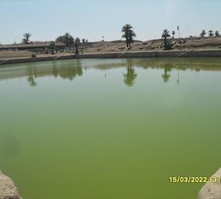 Святое озеро в Луксоре