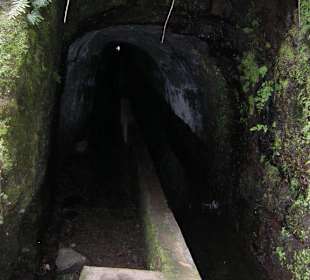 Levada