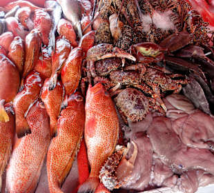 Gang über den Marché de la Darse