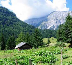 Unterer Bereich Grünsee