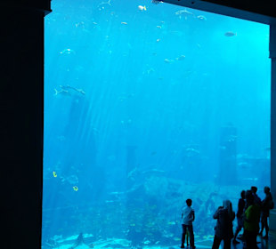 Das riesige Aquarium innerhalb des Hotels