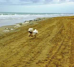 Ende September 2010 Impressionen