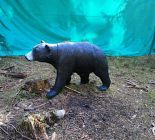 Neues im Kletterwald 09-2012