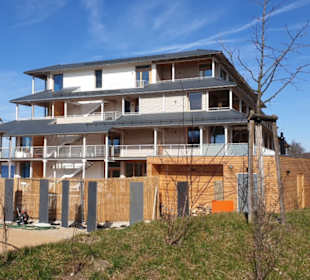 Umgebung am Berzdorfer See.