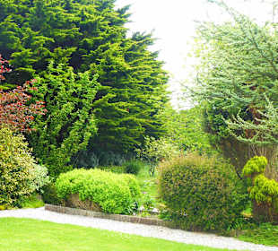 Bible garden - sehr schön!