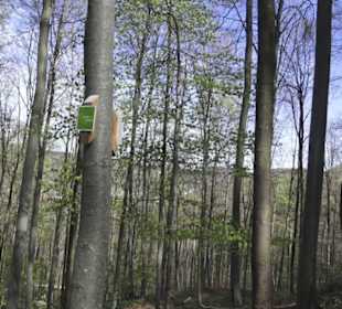 Wanderweg Hochgehkämpft