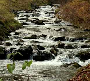 Der Gießenbach am Ortseingang