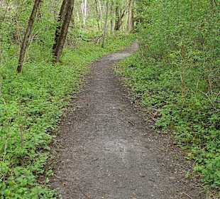 Wandern Plaffeien