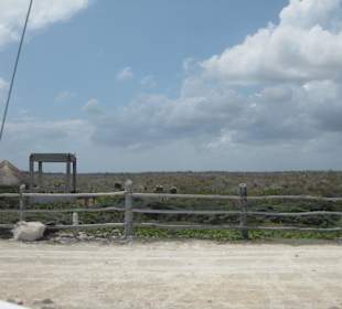 Küstenstraße mit Blick auf die Landschaft