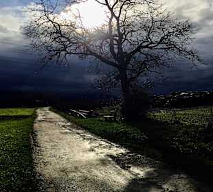 Stadtrundgang Bad Krozingen