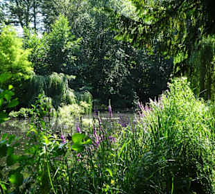 Impressionen aus dem Schlossgarten