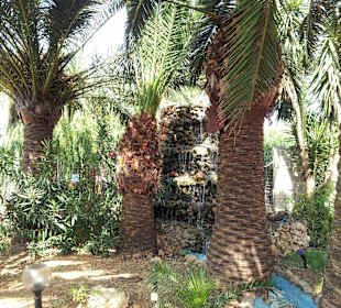Blick Garten/Brunnen 