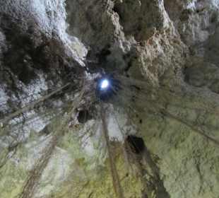 In der Cenote Blick nach oben