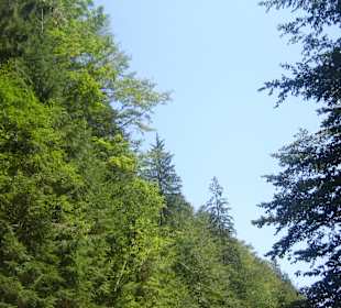 Cascada Valul Miresei