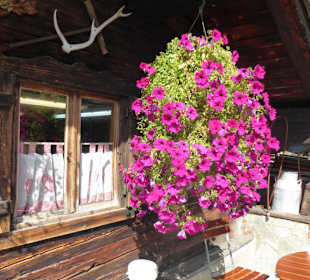 Mariandl-Alm - Blumenschmuck