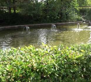 Erlebnispark Tripsdrill