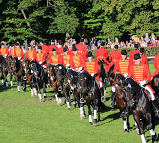 Celler Hengstparade