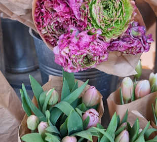 Blume 2000 Bahnhofspassagen 