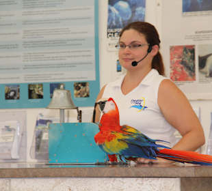 Parrot Show