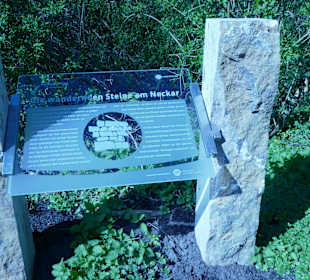 Fest verankert zwischen starken Steinen