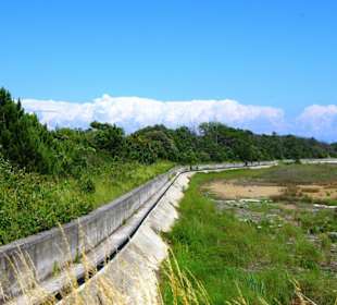 Naturschutzgebiet dei Pini