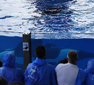 Loro parque
