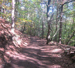 Auf dem Weg zur Madenburg