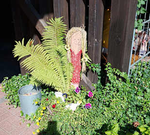 Wildpark Osterzgebirge